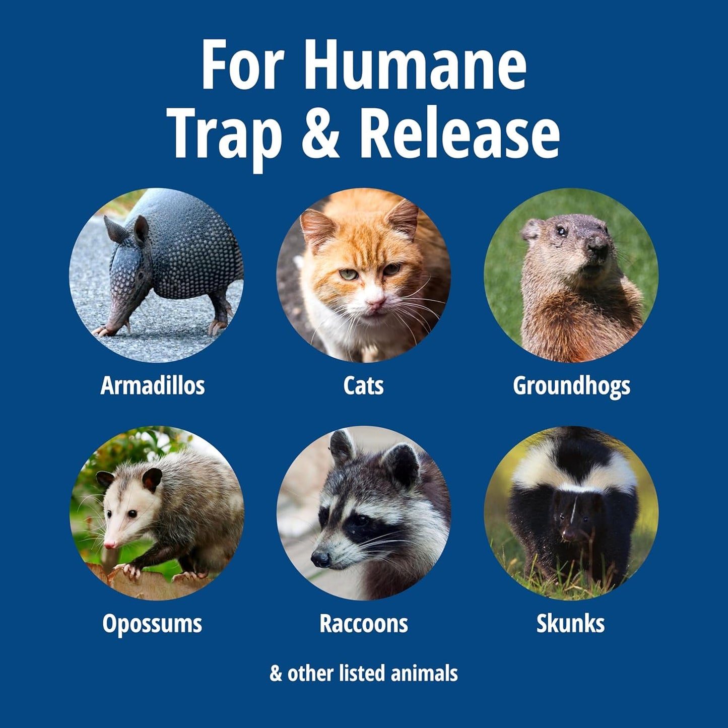 Havahart Large 1-Door Live Animal Trap Raccoon Cat Humane Catch & Release Cage