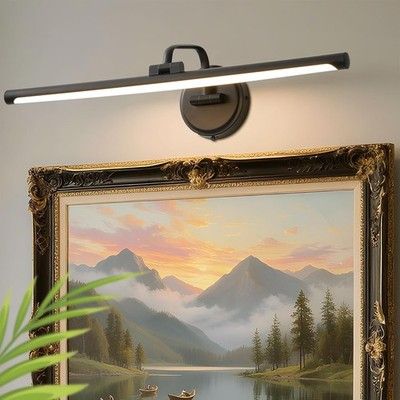 Hardwired Picture Light for Wall, 24 Inch Modern Black Dimmable Frame Light