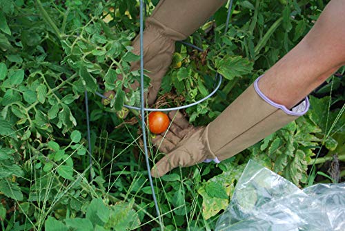 MAGID Extra-Long Thornproof Pruning and Gardening Gloves for Men, 1 Pair, Size 9/L with Forearm Protection