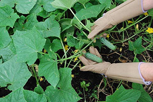 MAGID Extra-Long Thornproof Pruning and Gardening Gloves for Men, 1 Pair, Size 9/L with Forearm Protection