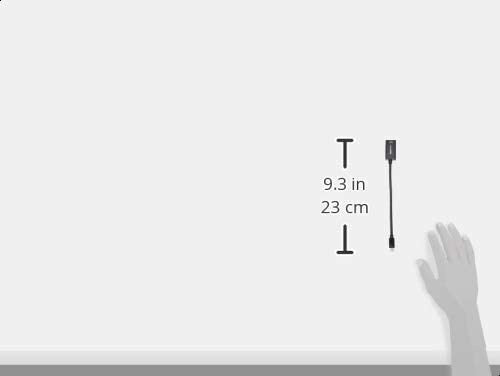 HDMI Amazon Basics Mini DisplayPort to Adapter 4k60Hz