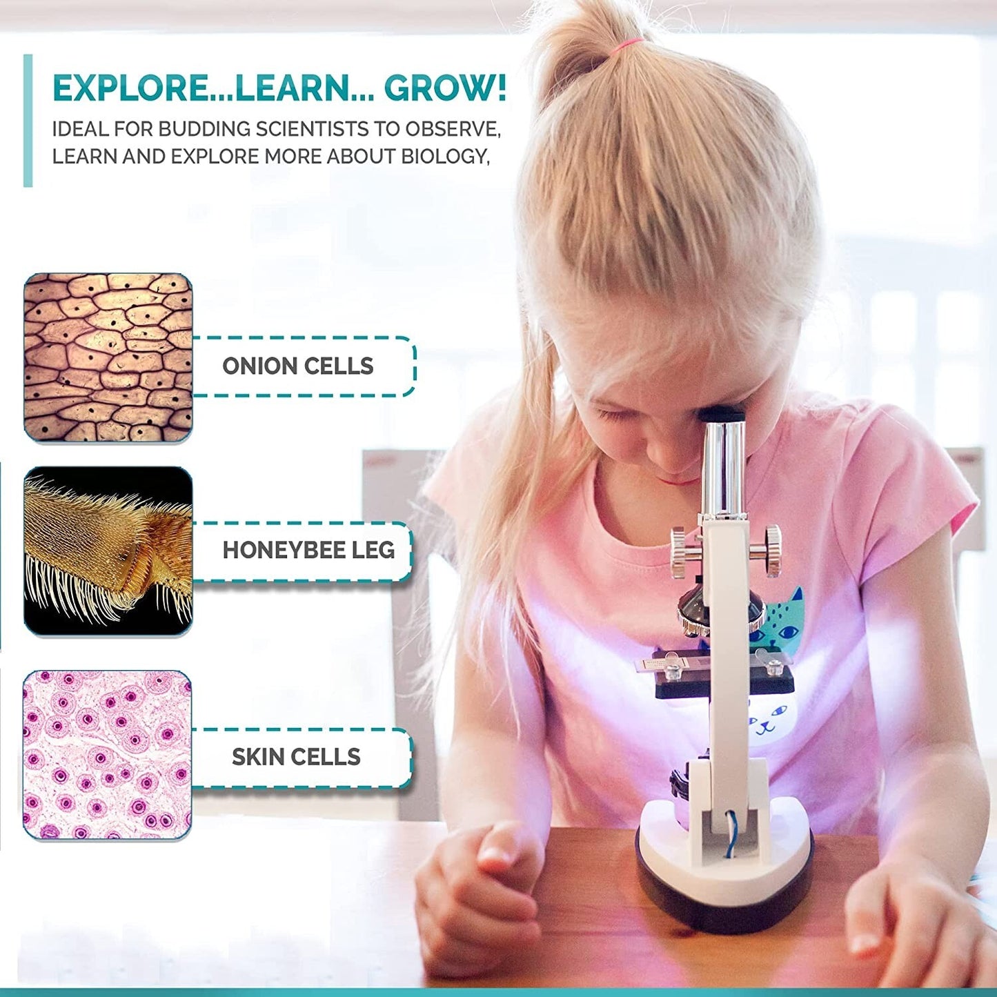 AmScope pcs Kids Beginner Microscope Kit w Metal Body Microscope 120X-1200X 52-