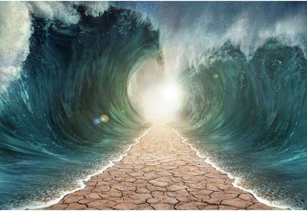 Moses Divided Sea Pathway Photography Background Judaism Catholic 9x6 ft