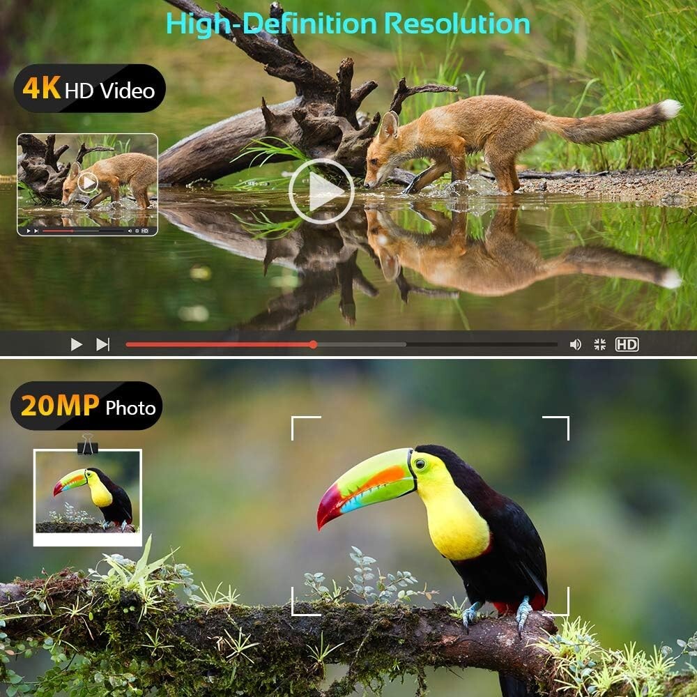 20MP Ctronics Trail Camera DualLens Starlight Night Vision 4K Wildlife