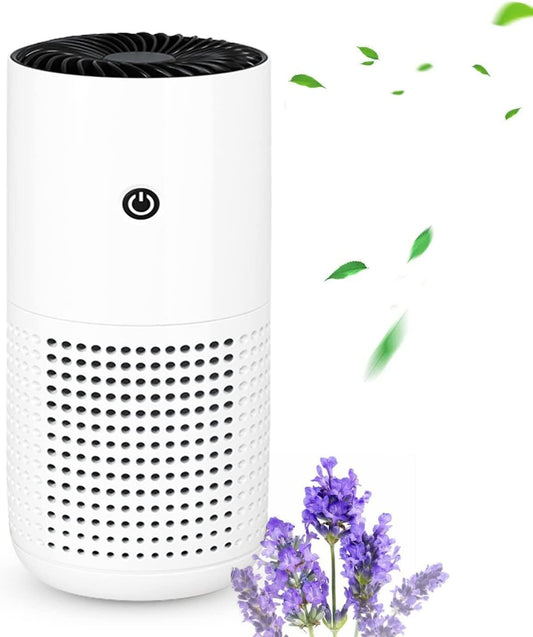 H13 HEPA Air Purifiers Home Air Purifiers Air Cleaner Smoke Pollen Dand