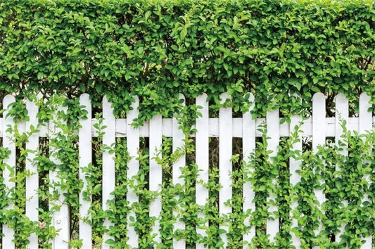DASHAN Greenery Backdrop Spring Green Leaves Grass Nature Outdoorsy Baby 7x5ft
