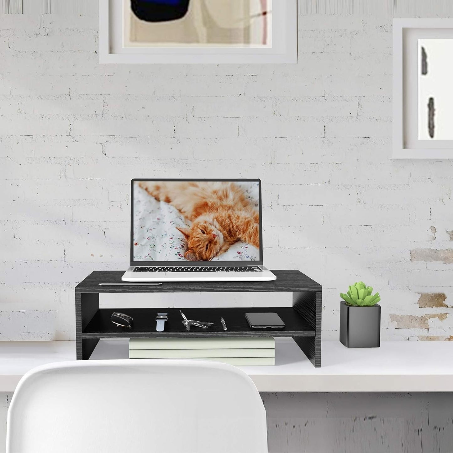 ERGO TAB Monitor Stand Riser 165 Inch 2 Tier Desk Organizer