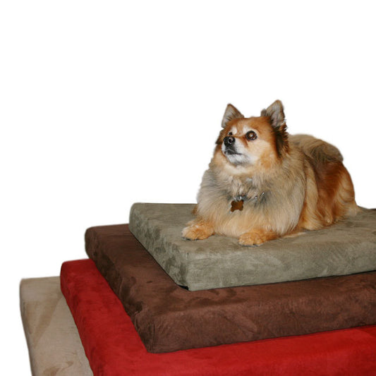 Anatomic Large Memory Foam Dog Bed Removable Microfiber Suede Cover