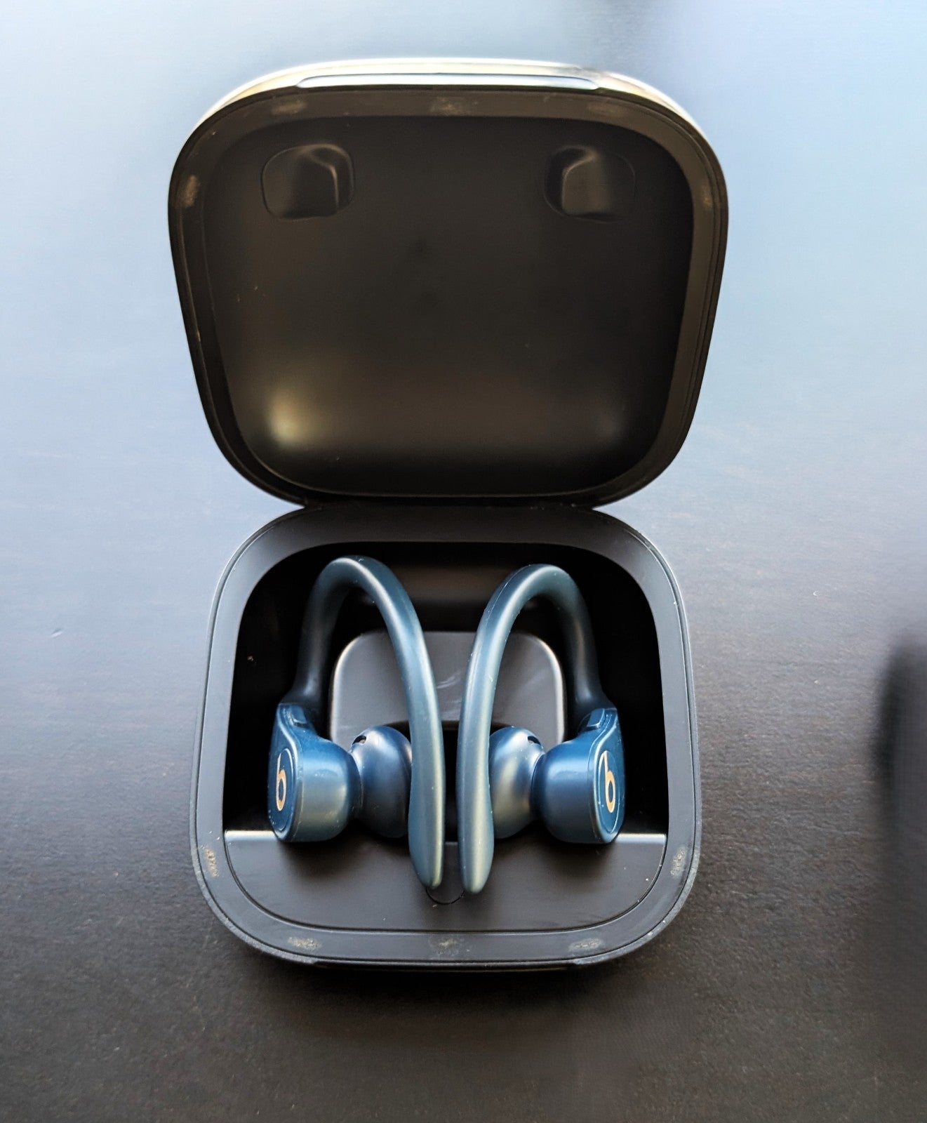 Beats Dr Dre Powerbeats Pro Totally Wireless Earbuds Navy
