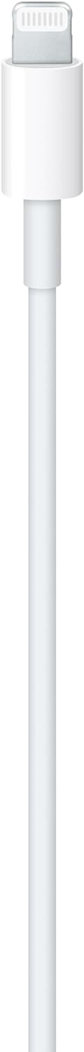 USB-C Apple to Lightning Cable 1 m