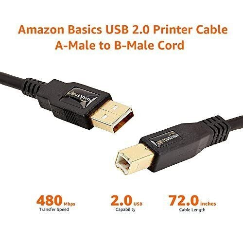 USB Amazon Basics 20 Printer Cable AMale to BMale Cord 6ft