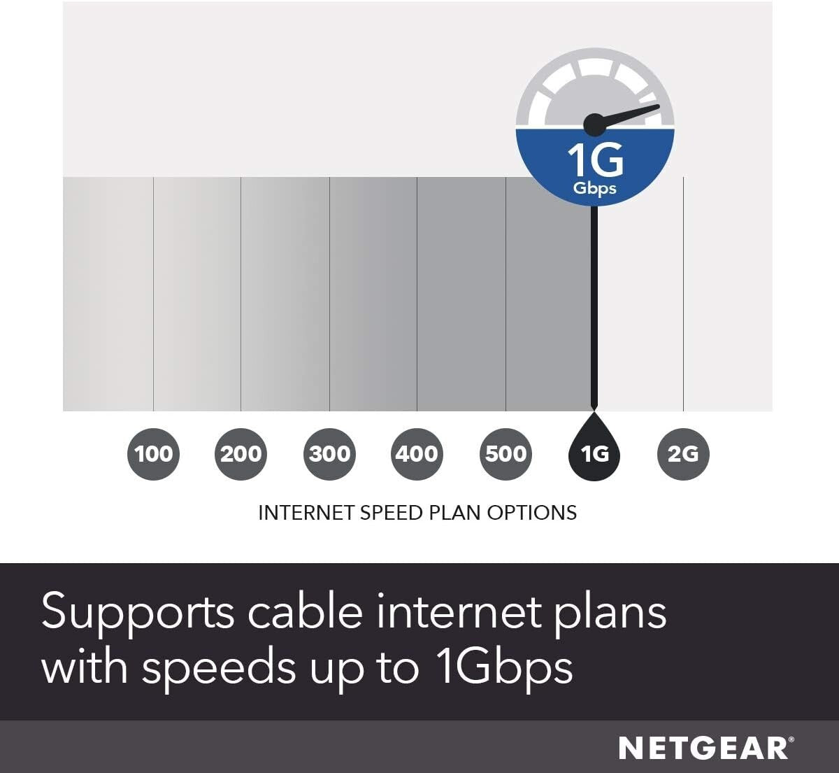 NETGEAR CM1000 1000Mbps Cable Modem