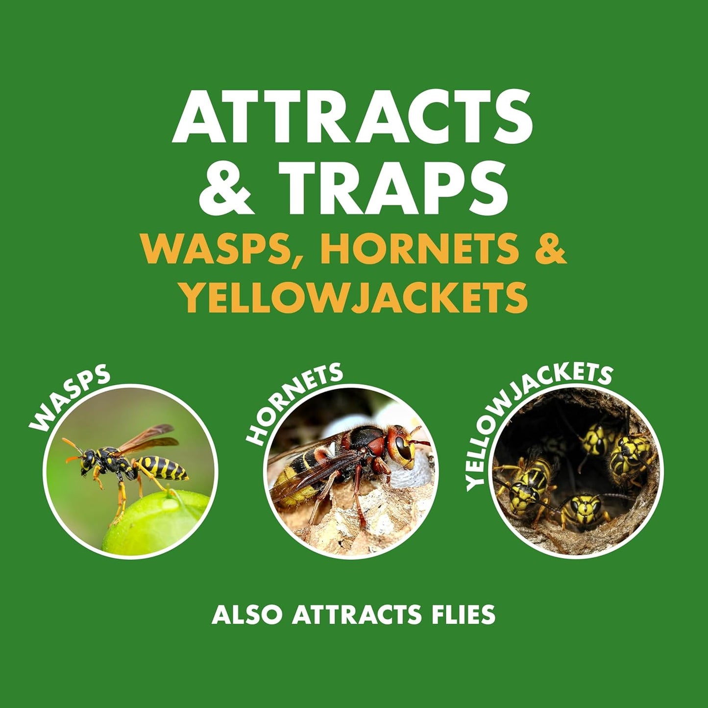 Spectracide Wasp Hornet & Yellowjacket Trap Hanging Quick-Drown 1 Count