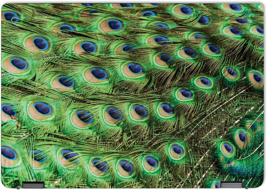 MightySkins Peacock Skin Full Wrap for Lenovo IdeaPad Flex 5 16" 2022 Vinyl