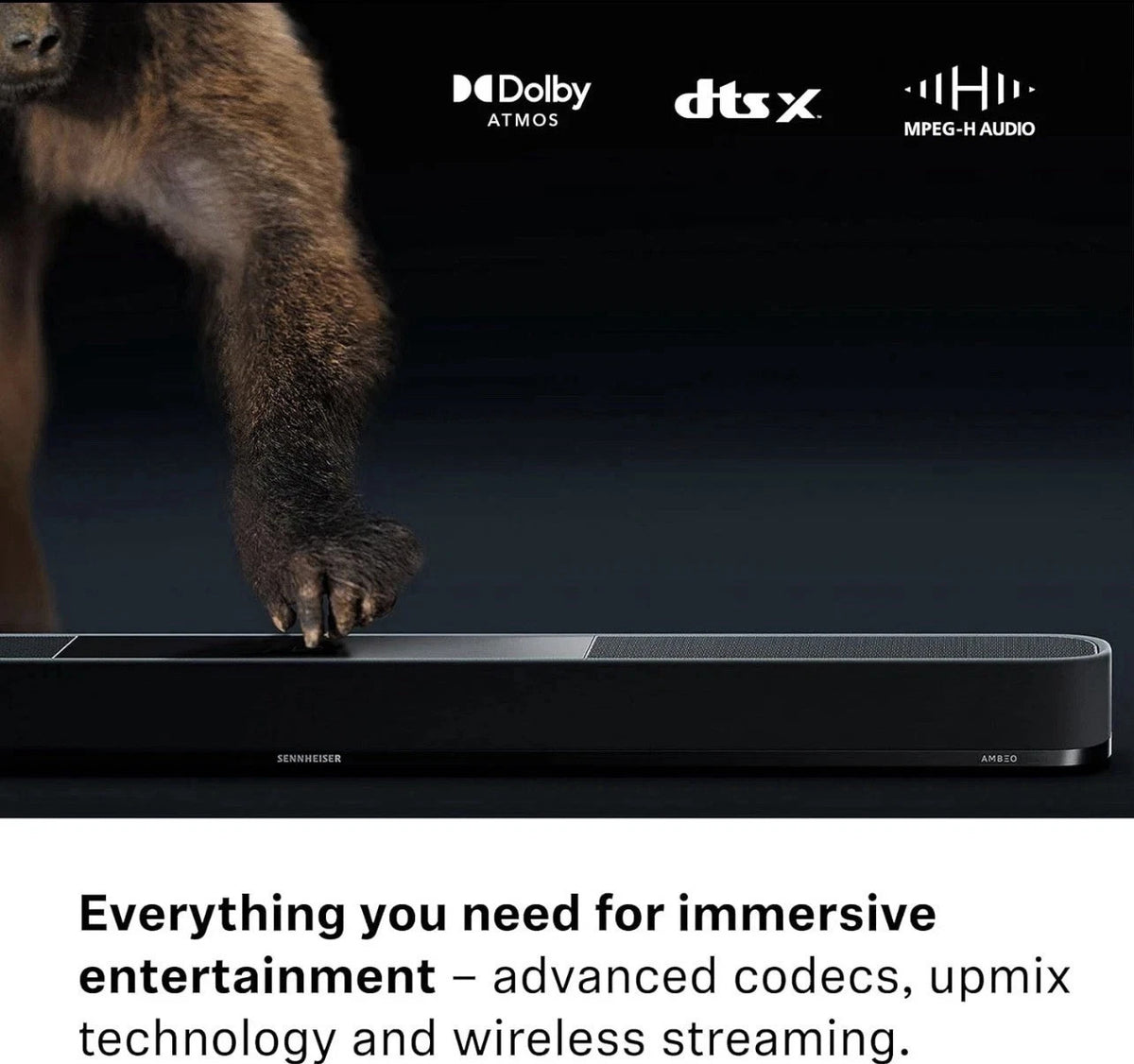Sennheiser AMBEO Soundbar Plus connections