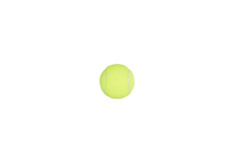 Penn Championship Tennis Balls - Extra Duty Felt Pressurized Tennis Balls