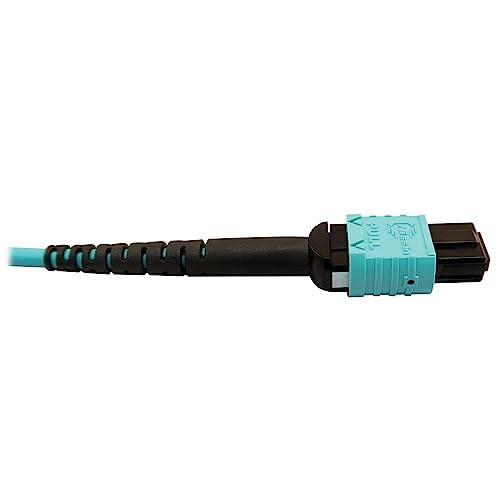 Tripp Lite 400GB Ethernet Fiber Optic Cable, Multimode 50/125 OM4 Cable, Plenum Rated, 24F MTP/MPO-PC to 2X 12F MTP/MPO-PC (F/F), 5m, Aqua (N846D-05M-24BAQ)