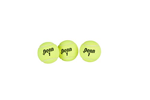 Penn Championship Tennis Balls - Extra Duty Felt Pressurized Tennis Balls