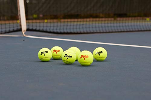 Penn Championship Tennis Balls - Extra Duty Felt Pressurized Tennis Balls