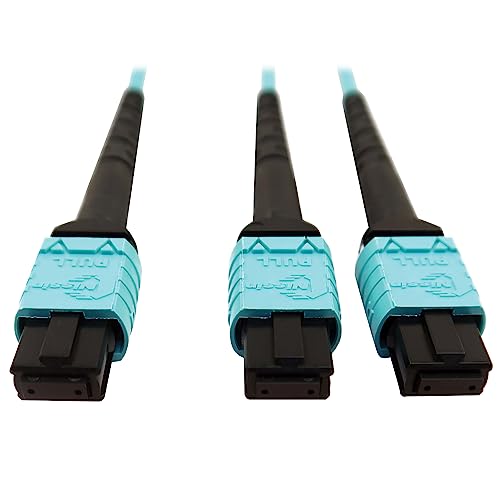 Tripp Lite 400GB Ethernet Fiber Optic Cable, Multimode 50/125 OM4 Cable, Plenum Rated, 24F MTP/MPO-PC to 2X 12F MTP/MPO-PC (F/F), 5m, Aqua (N846D-05M-24BAQ)