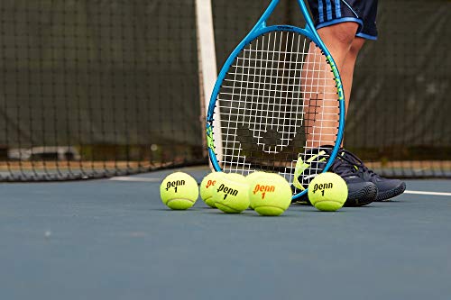 Penn Championship Tennis Balls - Extra Duty Felt Pressurized Tennis Balls