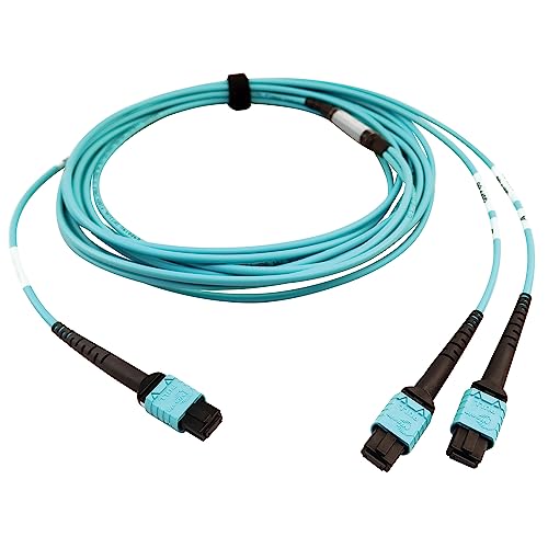 Tripp Lite 400GB Ethernet Fiber Optic Cable, Multimode 50/125 OM4 Cable, Plenum Rated, 24F MTP/MPO-PC to 2X 12F MTP/MPO-PC (F/F), 5m, Aqua (N846D-05M-24BAQ)