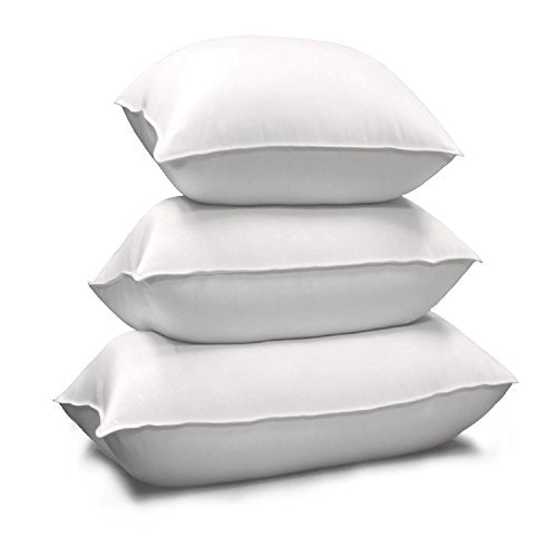 Blue Ridge Home Fashions 214112 Pillow, Queen, White