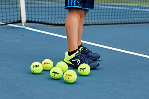 Penn Championship Tennis Balls - Extra Duty Felt Pressurized Tennis Balls - (2 Cans, 6 Balls)