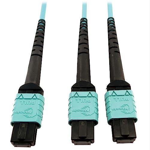 Tripp Lite 400GB Ethernet Fiber Optic Cable, Multimode 50/125 OM4 Cable, Plenum Rated, 24F MTP/MPO-PC to 2X 12F MTP/MPO-PC (F/F), 5m, Aqua (N846D-05M-24BAQ)