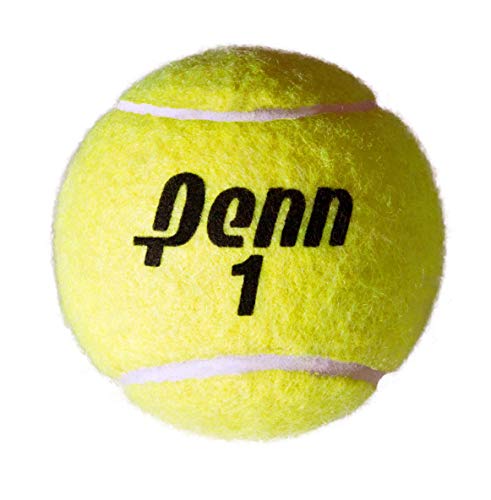 Penn Championship Tennis Balls - Extra Duty Felt Pressurized Tennis Balls - (2 Cans, 6 Balls)