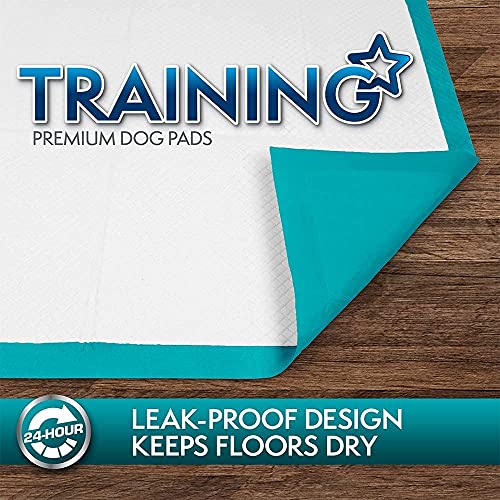 Simple Solution Training Pads